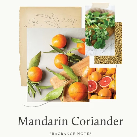 Thymes Mandarin Coriander Pura Smart Home Plug-in Diffuser Refills - Pack of 2 - Picture 10 of 12
